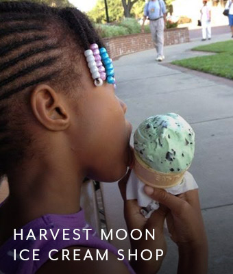 Harvest Moon Ice Cream Shop